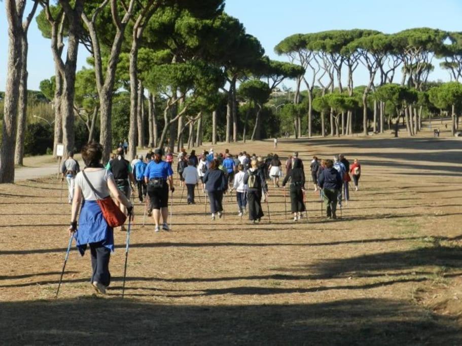 A Casa Di Pe' Casa Vacanze Roma Dış mekan fotoğraf
